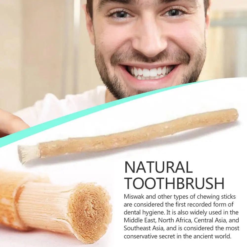 Portable Natural Miswak Toothbrush Traditional Arak Miswaak Manual Teeth Whitener Manual Tooth Care Stick For Travel